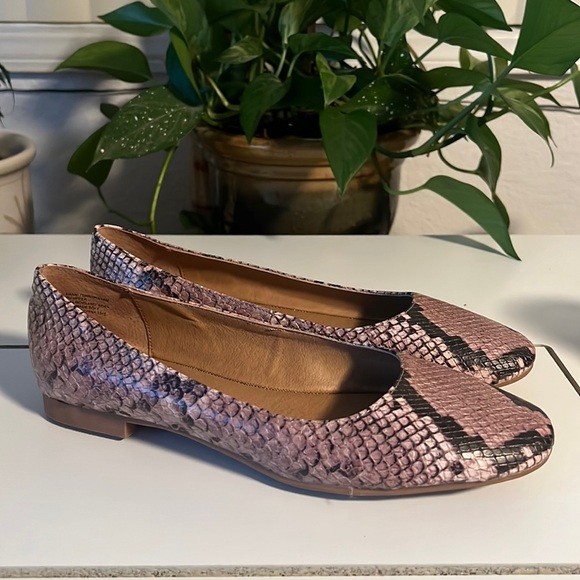 Steve Madden Shoes - Steve Madden Danni Nat Ballerina Snake Print Flats Leather Womens Size 8M